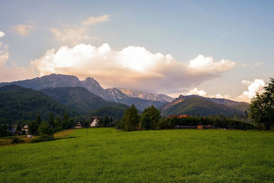 Scenic view of field against sky