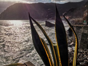 Close-up of sea against mountains