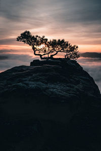 Silhouette tree by rock against sky during sunset