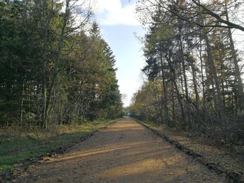 Road amidst trees in forest against sky