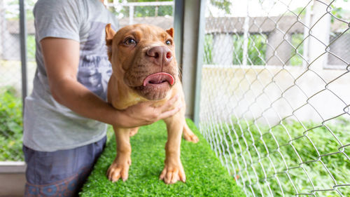 Low section of man with dog