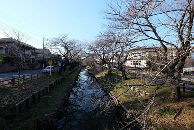 Canal amidst bare trees and buildings against sky