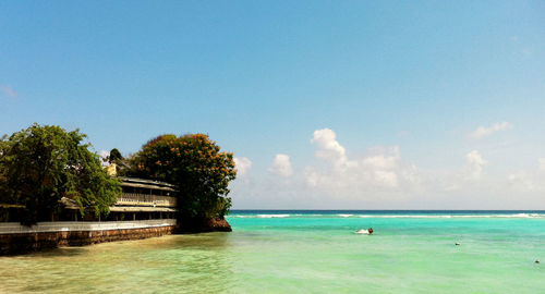 Scenic view of sea against sky