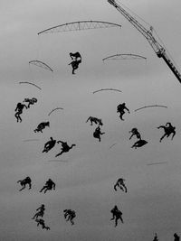 Birds flying on beach against sky