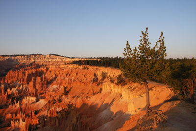 Scenic view of landscape against clear sky