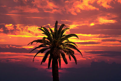 Silhouette palm tree against orange sky
