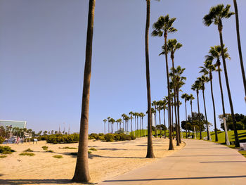 Diminishing perspective of empty road amidst trees against clear blue sky