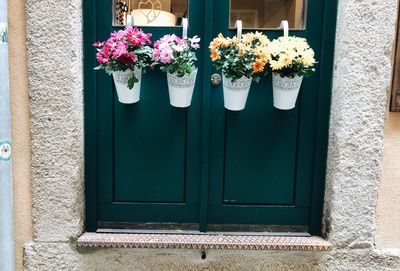 Potted plants on window of building