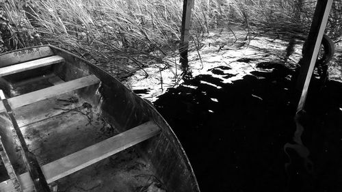 Close-up high angle view of leaves