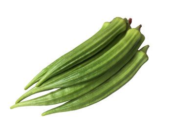 Close-up of green leaf on white background