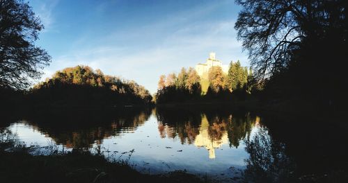 Reflection of trees in water