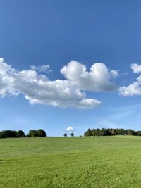 Twin clous twin trees