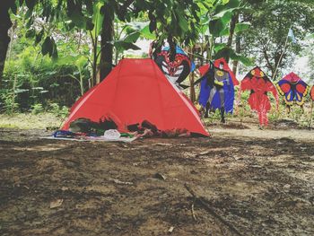 Tent in park