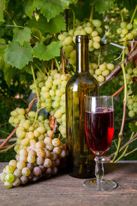 Wine glass and grapes in container