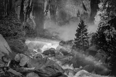 Scenic view of waterfall in forest