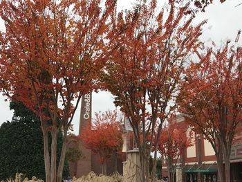 Low angle view of trees in city during autumn