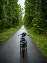 Rear view of person riding bicycle on road