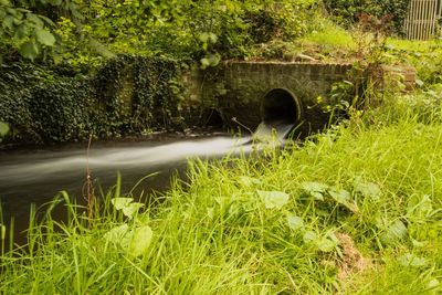 Water pipe in grass