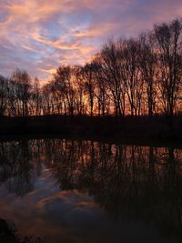 Silhouette trees by lake against sky during sunset