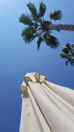 Low angle view of coconut palm tree against blue sky