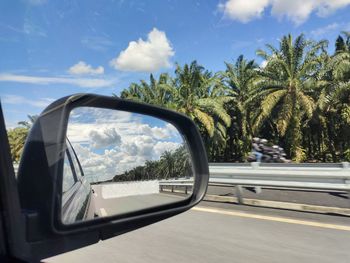 Reflection of trees on side-view mirror