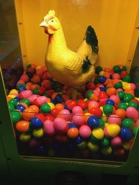 Close-up of colorful candies