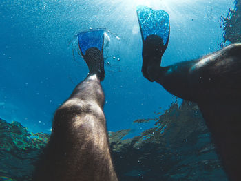 Man swimming in sea