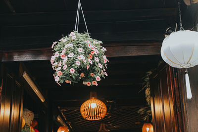 Flowers in rainy day at hoian