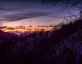 Silhouette plants and trees against sky at sunset