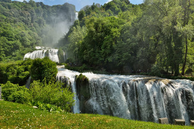 Scenic view of waterfall against trees in forest