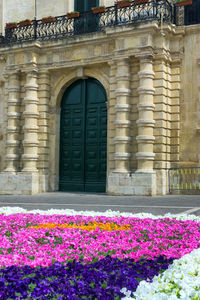 View of flowering plants against building