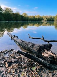 Fallen tree by lake against sky