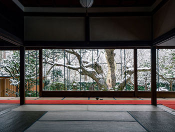 Trees seen through glass window of building