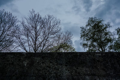 Low angle view of bare trees against sky