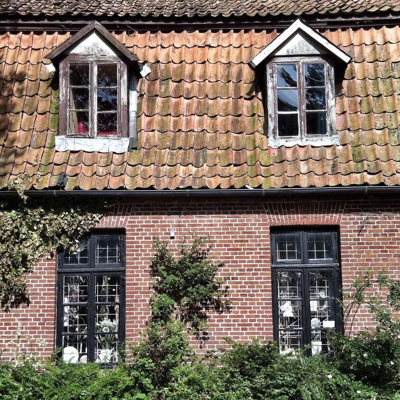 building exterior, architecture, window, built structure, house, brick wall, residential structure, residential building, old, ivy, wall, low angle view, day, weathered, door, building, plant, outdoors, no people, wall - building feature