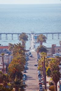 High angle view of palm trees by sea