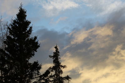 Low angle view of silhouette tree against sky