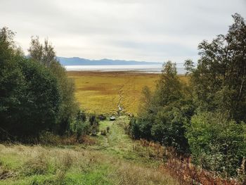 Scenic view of field against sky