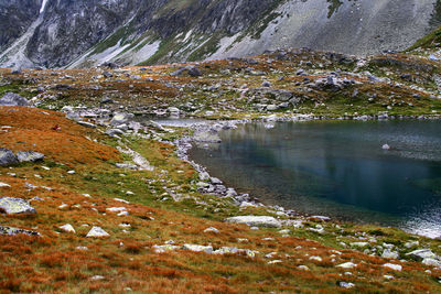 Scenic view of lake