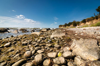 Surface level of rocks on shore against blue sky