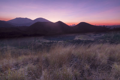 Scenic view of field against sky during sunset