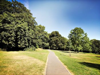 Road amidst trees on field against sky