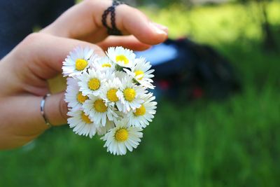 Human hand holding flowers