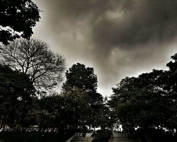 Low angle view of trees against cloudy sky