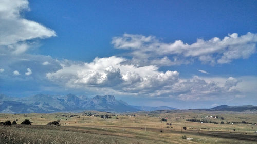 Scenic view of field against sky