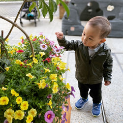 Full length of cute girl with flowers on floor