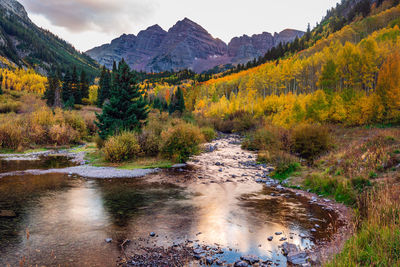 Scenic view of river stream amidst trees during autumn