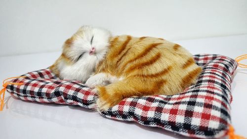 Cat sleeping on bed at home