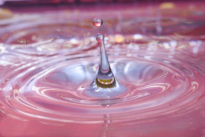 Close-up of drop falling in pink water