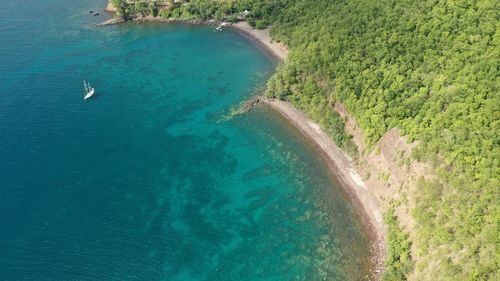 High angle view of bird on beach